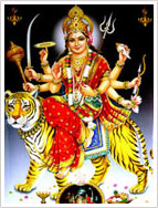 Matavaishnodevi , Vaishnodevi, Mata, Vaishnodevi, Vaishno, 

Vaishnomata, Katra, Jammu, Jammu Kashmir,India,  Sherawali, Mherawali, Jai, 

mata, di, Jai Mata Di, Phadawali, Trikuta, Himalaya